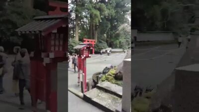 開運遠隔参拝～箱根神社内九頭龍神社！ アンコール劇場#神社 #神社仏閣巡り #箱根観光 #旅行 #shorts #運気アップ #開運 #九頭龍神社 #金運 #パワースポット #観光 #今日から開運