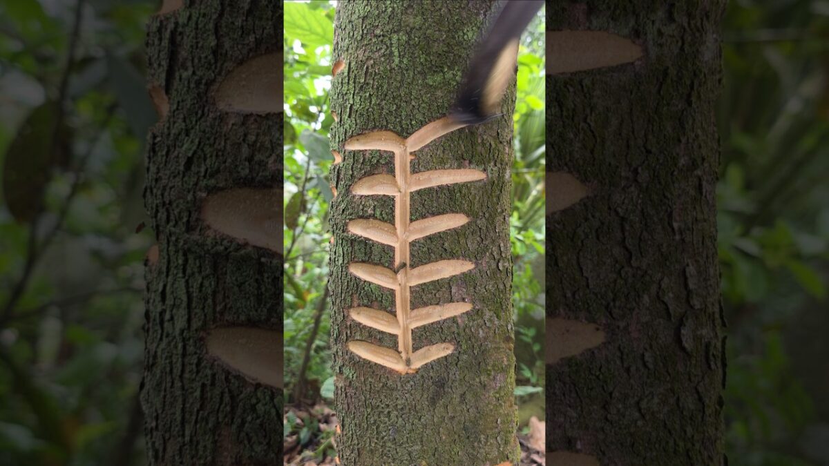 tree craft👀😱(Ep-268) #shorts #satisfying #nature #craft #asmr