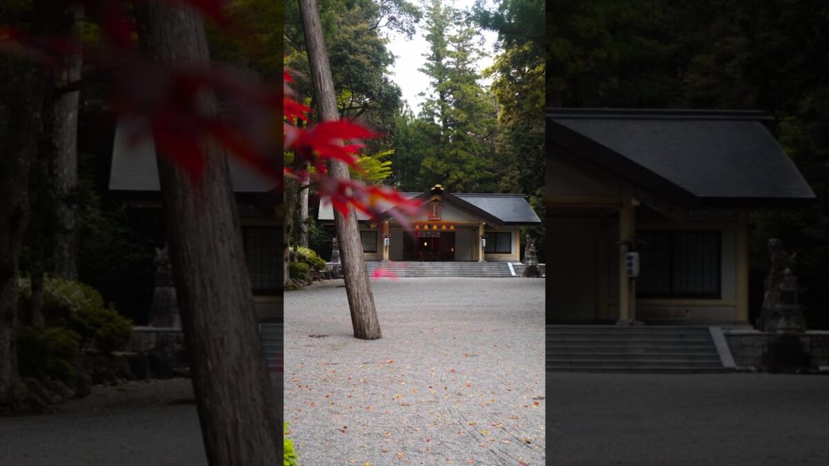 【この神社知ってる？⛩️】日本で唯一の神様がいる神社｜三重県大紀町
