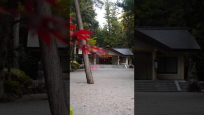 【この神社知ってる？⛩️】日本で唯一の神様がいる神社｜三重県大紀町