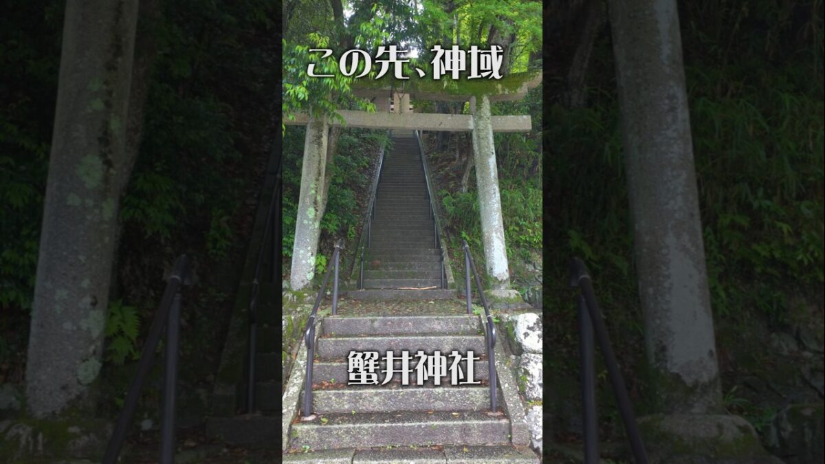 【秘境の神域】蟹井神社（大阪・河内長野市）｜静寂に包まれる癒やしの社