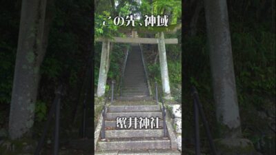 【秘境の神域】蟹井神社（大阪・河内長野市）｜静寂に包まれる癒やしの社