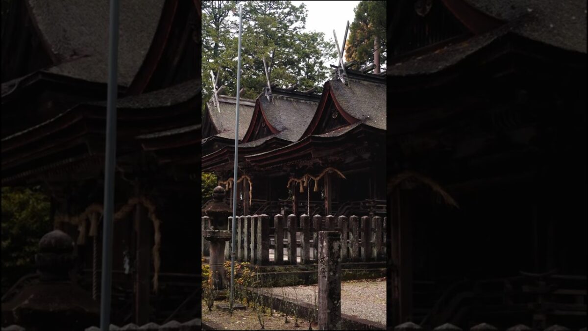 【この神社読める？⛩️】知ってたら神社通！｜倭白山比咩神社