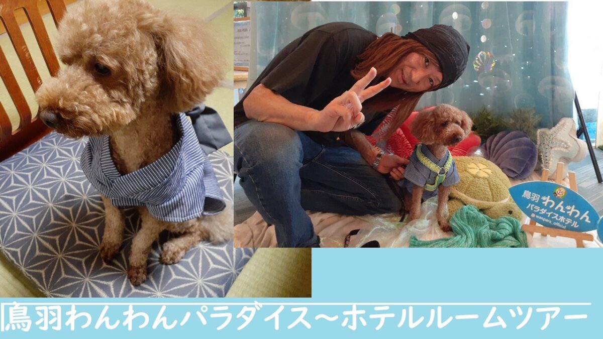 わんわんパラダイス鳥羽～ホテルルームツアー