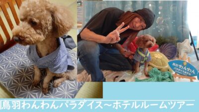 わんわんパラダイス鳥羽～ホテルルームツアー