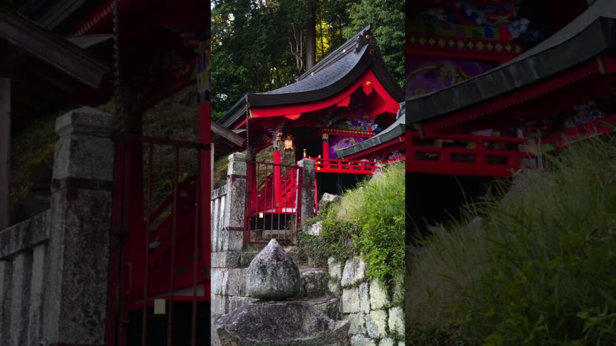 【この神社読める？⛩️】知ってたら神社通！｜射手神社