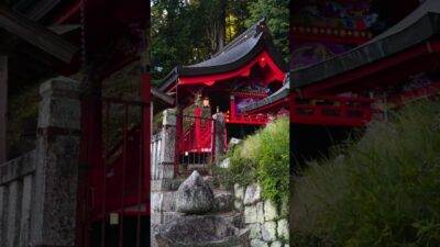 【この神社読める？⛩️】知ってたら神社通！｜射手神社