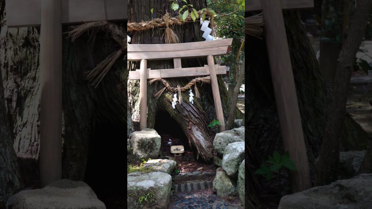 【この神社知ってる？⛩️】地震を鎮める要石がある神社｜大村神社