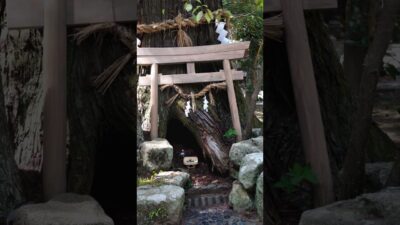 【この神社知ってる？⛩️】地震を鎮める要石がある神社｜大村神社