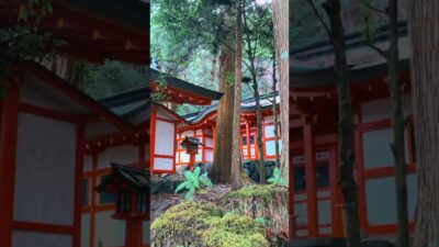 【知ってる？⛩️】南朝の歴史が眠る神社｜北畠神社