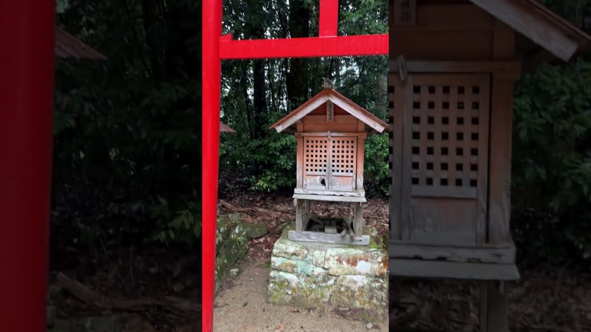 雨音に包まれる神社さんぽ｜上鴨川住吉神社【兵庫県加東市】#上鴨川住吉神社,#加東市,#無病息災,#住吉神社,#兵庫県神社