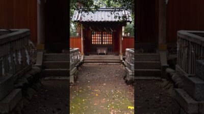 【この神社知ってる？⛩️】松阪の歴史を見守る神社｜米ノ庄神社
