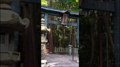 【厄除けならここ⛩️】滋賀屈指のパワースポット｜田村神社