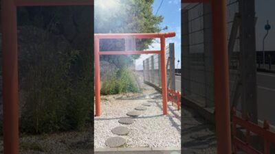 洞窟の奥に、龍神伝説が残る神社⛩️安乎岩戸神社⛩️【淡路島】 #パワースポット神社仏閣 #神社巡り #神社