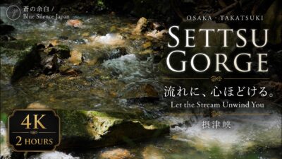 何もしない時間のための渓流音。｜自然音・森林浴 2時間