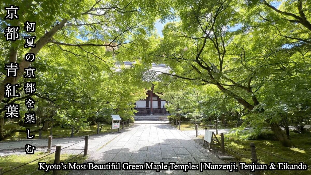 【京都青紅葉2026】南禅寺・天授庵・永観堂の新緑が美しすぎた
