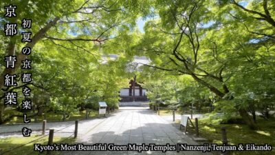 【京都青紅葉2026】南禅寺・天授庵・永観堂の新緑が美しすぎた