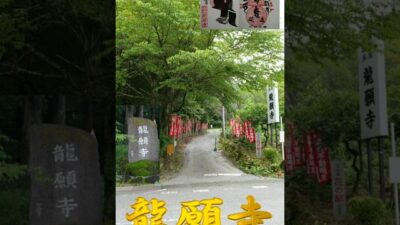 2026/07/04 龍願寺 #群馬県 #神社仏閣巡り #御朱印 #shorts