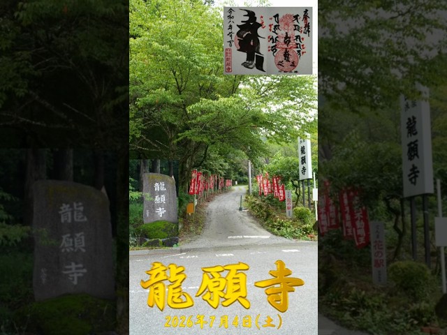 2026/07/04 龍願寺 #群馬県 #神社仏閣巡り #御朱印 #shorts