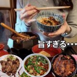 【女ひとり旅】名古屋めし3連発！王道グルメが最高すぎた！名古屋城観光は思ってたのと違う、ポンコツゆえの結果に･･･