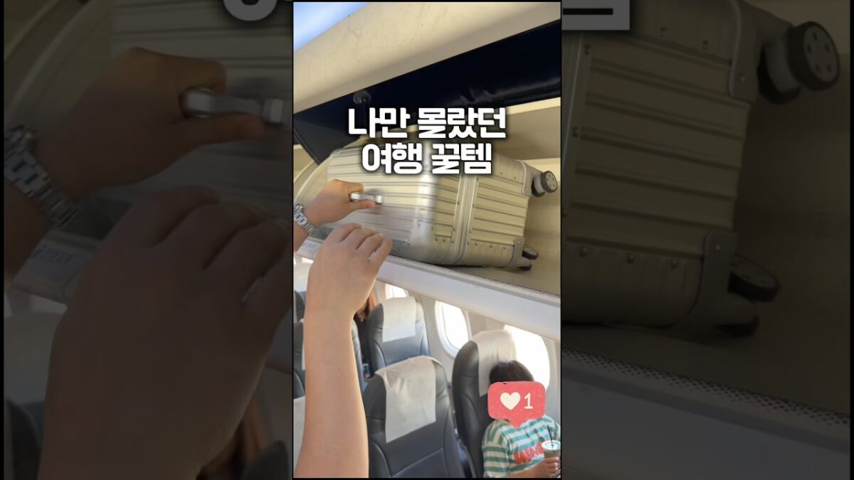 여행 고수가 꼭챙기는 4가지✈️