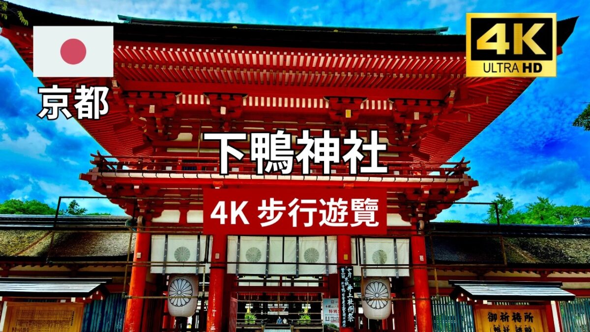 【4K 京都步行遊覽】下鴨神社