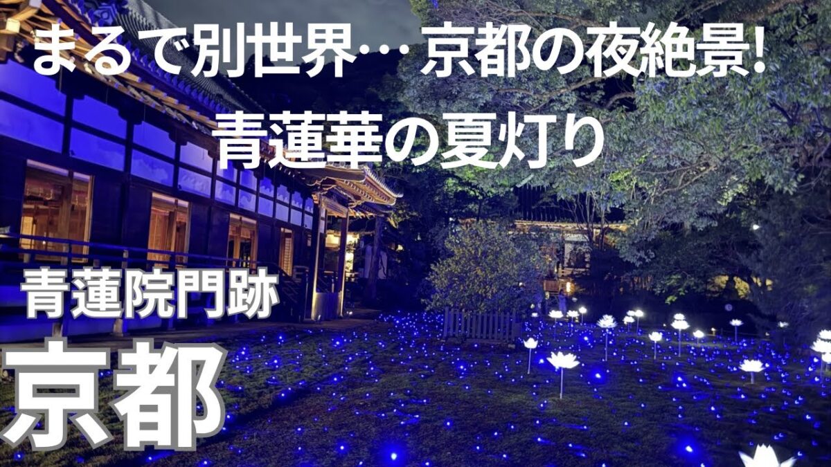 【京都・青蓮院門跡】[4K] ｜そうだ京都、行こう。Presents｜青蓮華の夏灯り｜青蓮院門跡｜夜間特別ライトアップ｜JR東海CMもやってる｜夏の小旅行｜福七のわらび餅｜KYOTO
