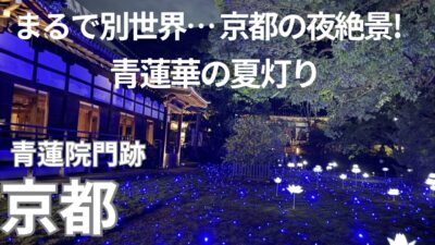 【京都・青蓮院門跡】[4K] ｜そうだ京都、行こう。Presents｜青蓮華の夏灯り｜青蓮院門跡｜夜間特別ライトアップ｜JR東海CMもやってる｜夏の小旅行｜福七のわらび餅｜KYOTO