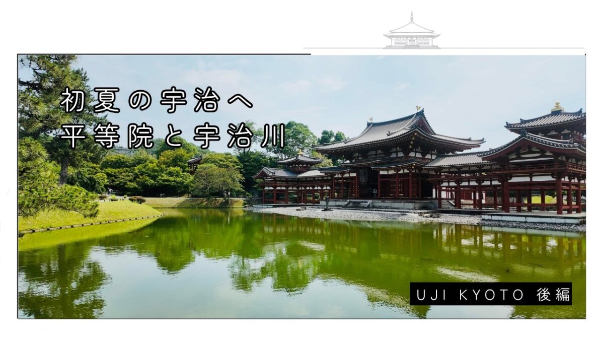 【4K 京都Vlog】初夏の宇治を歩く 後編｜平等院鳳凰堂・宇治川の鵜・宇治神社