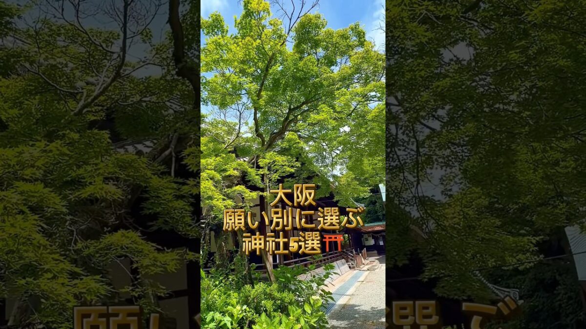 願い別・大阪の最強神社5選⛩️ #パワースポット神社仏閣 #神社巡り #パワースポット #神社
