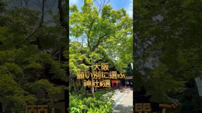 願い別・大阪の最強神社5選⛩️ #パワースポット神社仏閣 #神社巡り #パワースポット #神社
