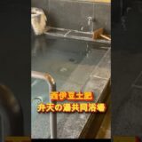 【ドン亀一人旅】7/2西伊豆　土肥温泉　弁天の湯共同浴場
