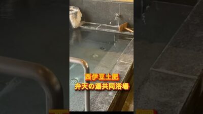 【ドン亀一人旅】7/2西伊豆　土肥温泉　弁天の湯共同浴場