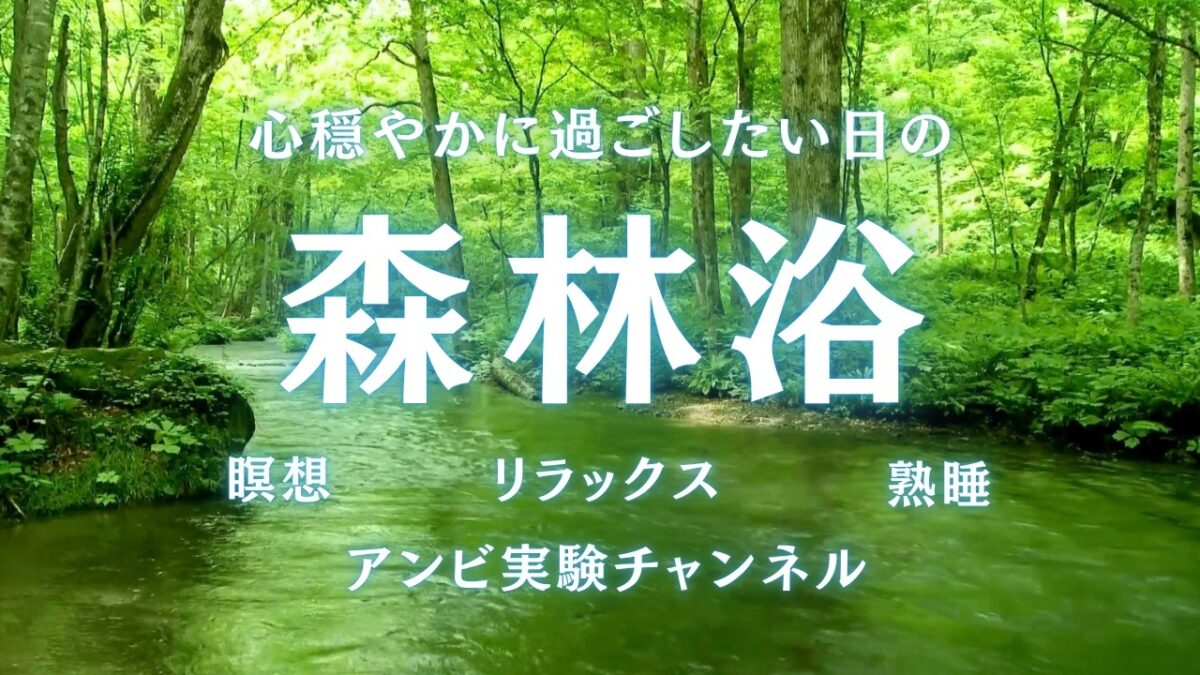 森林浴で心を研ぎ澄ます～寝付けない夜や集中を高めたい時のBGM