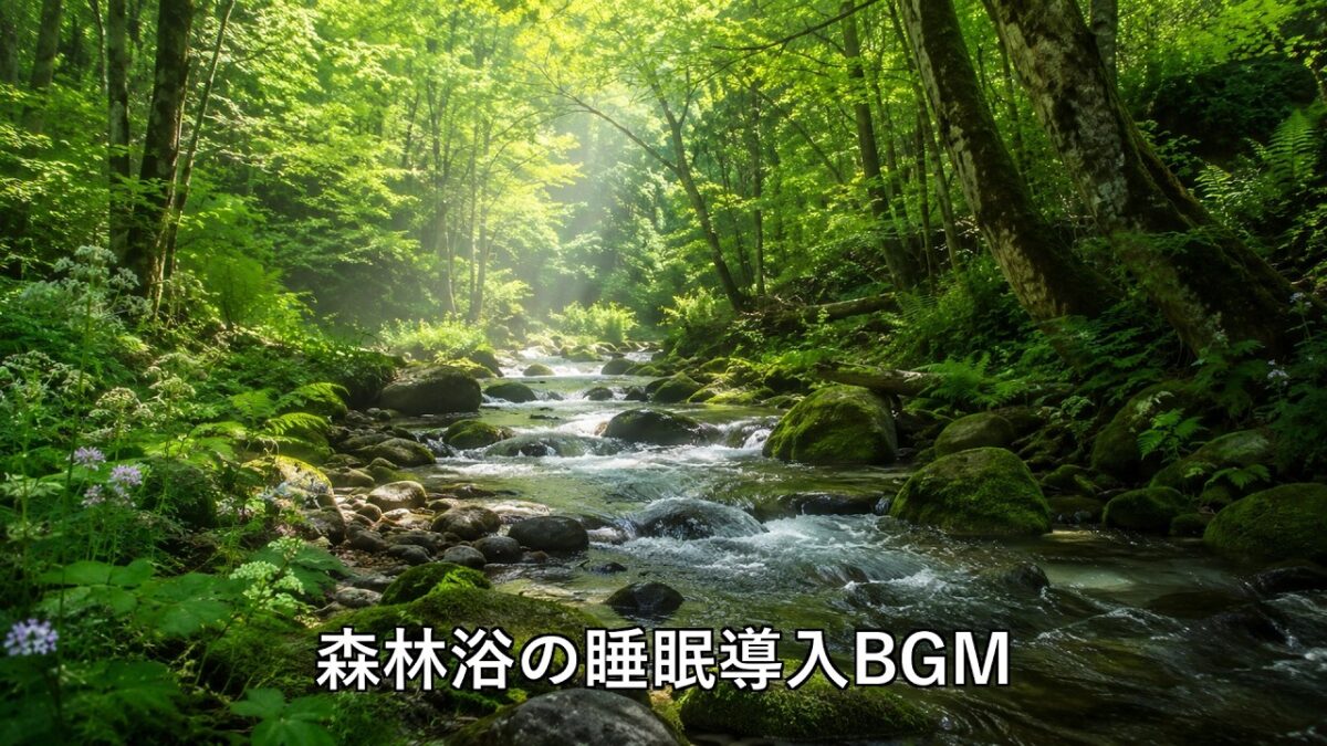 小鳥のさえずりと川のせせらぎ｜森林浴の睡眠導入BGM【8時間,勉強,作業,集中,癒し,瞑想,リラックス,赤ちゃん寝かしつけ,自律神経を整える,ASMR】