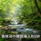 小鳥のさえずりと川のせせらぎ｜森林浴の睡眠導入BGM【8時間,勉強,作業,集中,癒し,瞑想,リラックス,赤ちゃん寝かしつけ,自律神経を整える,ASMR】