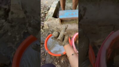 Best Oddly Satisfying, What’s in the mud? 🤯🍆🍅🥦
