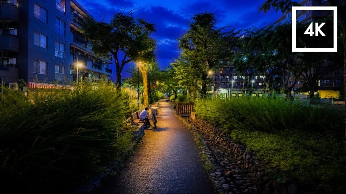 Blue Hour Walk in Tokyo | Relaxing Japan Street Atmosphere in 4K HDR
