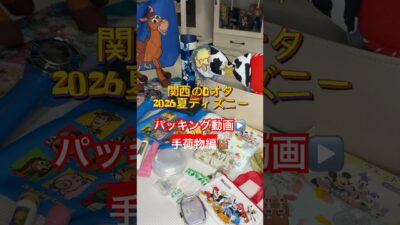 関西のDオタ夏ディズニー✈️パッキング手荷物編👜