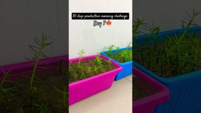 Day7✨ productive morning routine#morning#challenge #youtubeindia#youtubeshorts #shorts#shortsfeed#yt