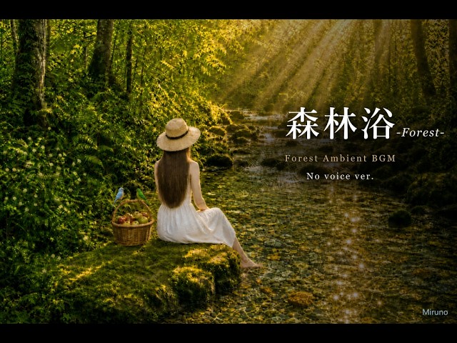 FOREST – 森林浴 | Peaceful Forest Ambient Music for Sleep & Focus【No Voice ver.】