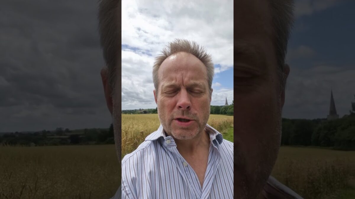 Henry Wag CEO Vlog July 2026 | Summer Dog Adventures, Travel Essentials & More