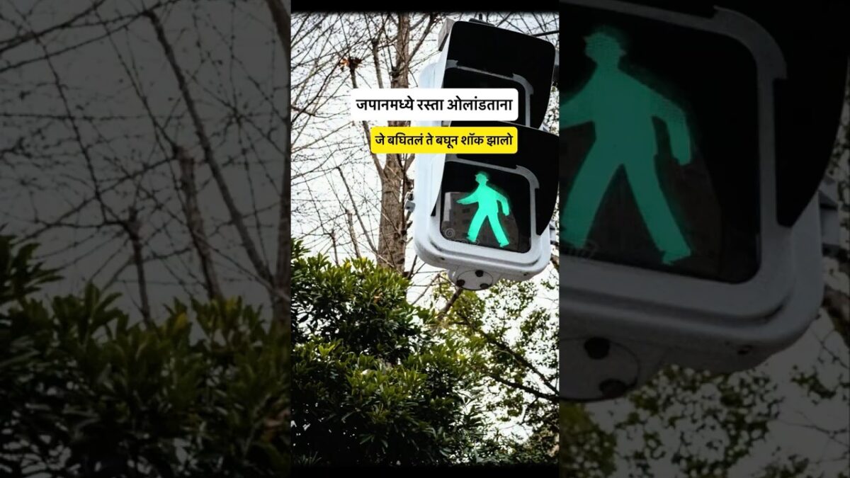 Japan road Cross Japan🇯🇵 traffic rules #viralvideos #miniblog #tokyolife #lifeinjapan #helpful