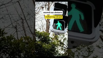 Japan road Cross Japan🇯🇵 traffic rules #viralvideos #miniblog #tokyolife #lifeinjapan #helpful