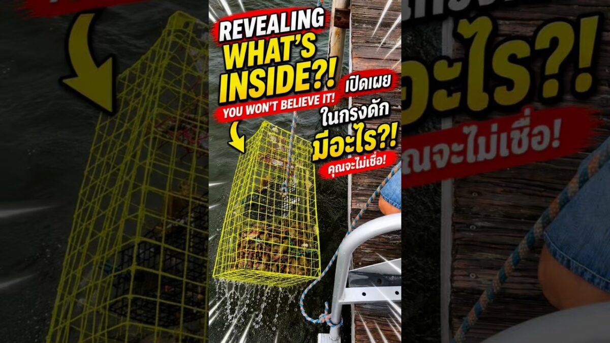 REVEALING What’s in Our Trap?! 😱 เปิดเผย! มีอะไรอยู่ในกับดัก