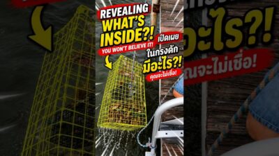 REVEALING What’s in Our Trap?! 😱 เปิดเผย! มีอะไรอยู่ในกับดัก