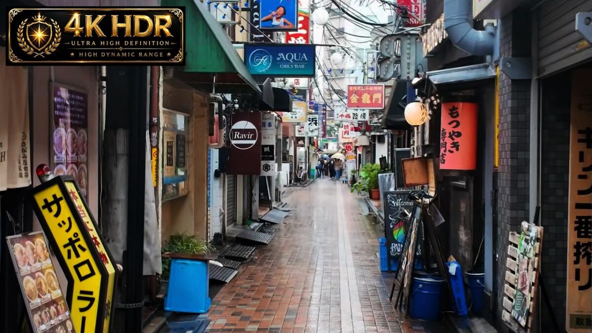 Rainy Afternoon Walk Through Tokyo, Retro Shopping Streets and Quiet Alleys | Japan 4K HDR