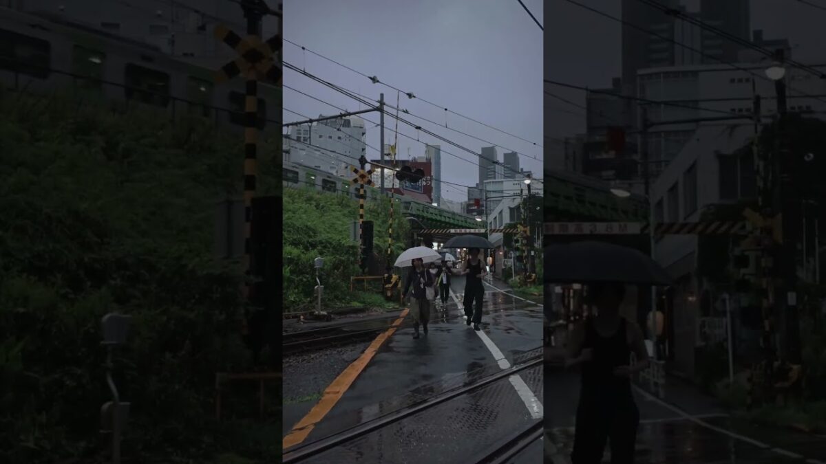 代々木 新宿 雨の夜散歩☔️ Yoyogi Shinjuku Neon Walk #Shorts  #travel  #japantravel #asmr