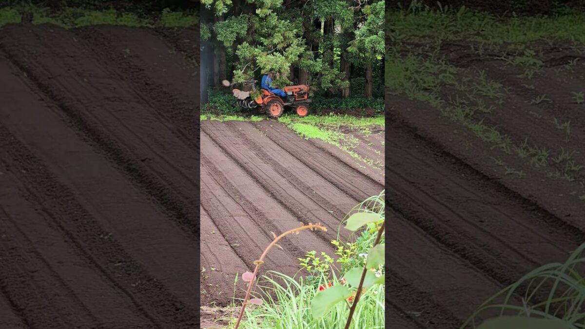 #japan #travel #walk #farming