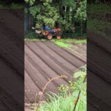 #japan #travel #walk #farming